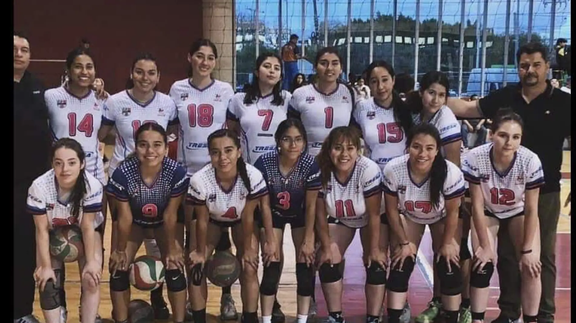 TGO VOLEIBOL